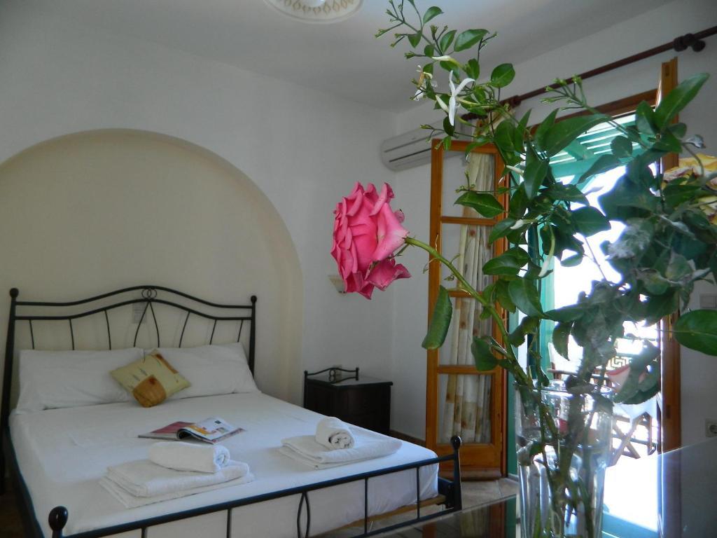 Ioanna Apartments Agios Prokopios  Bilik gambar