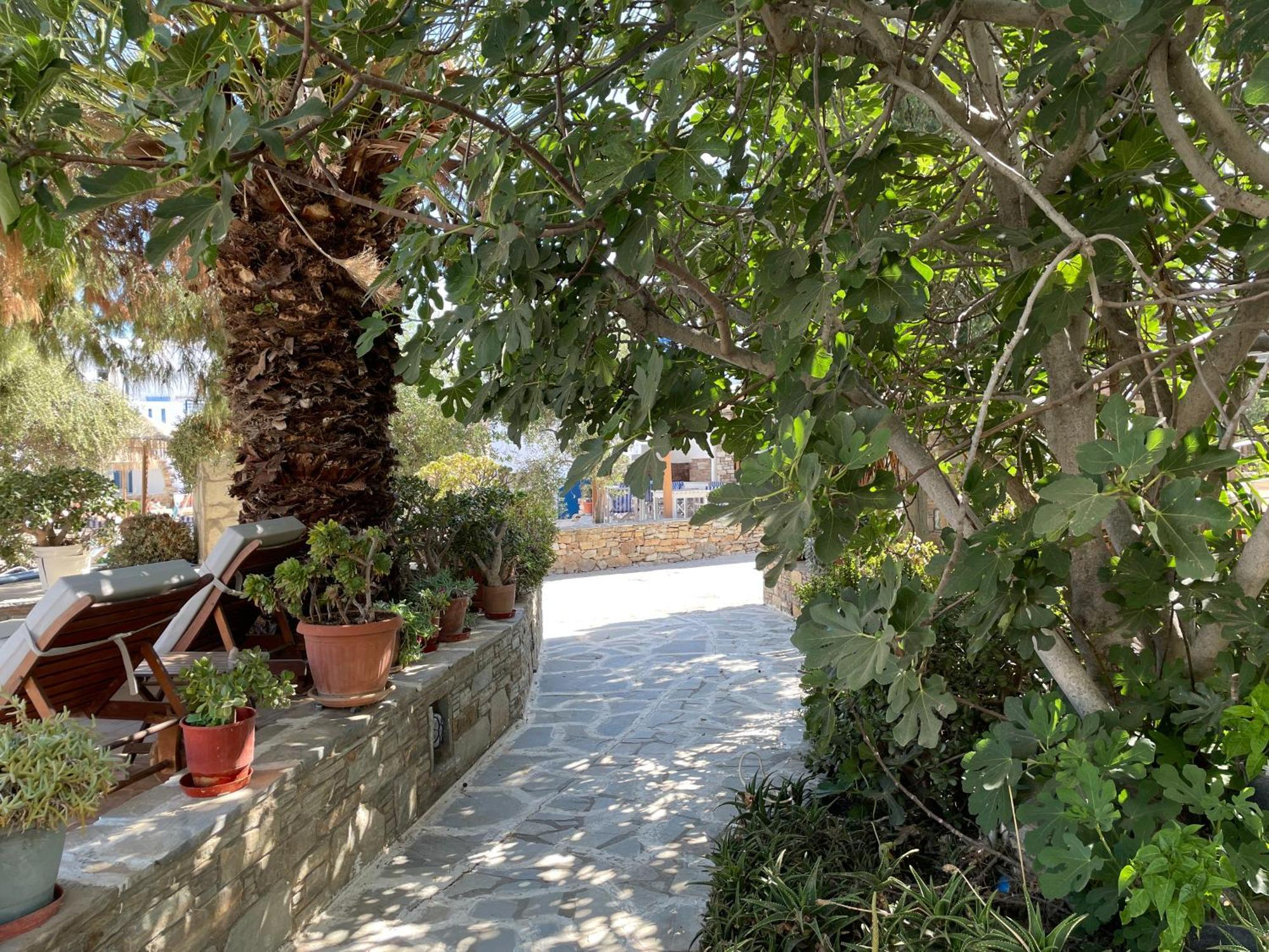 Ioanna Apartments Agios Prokopios  Luaran gambar